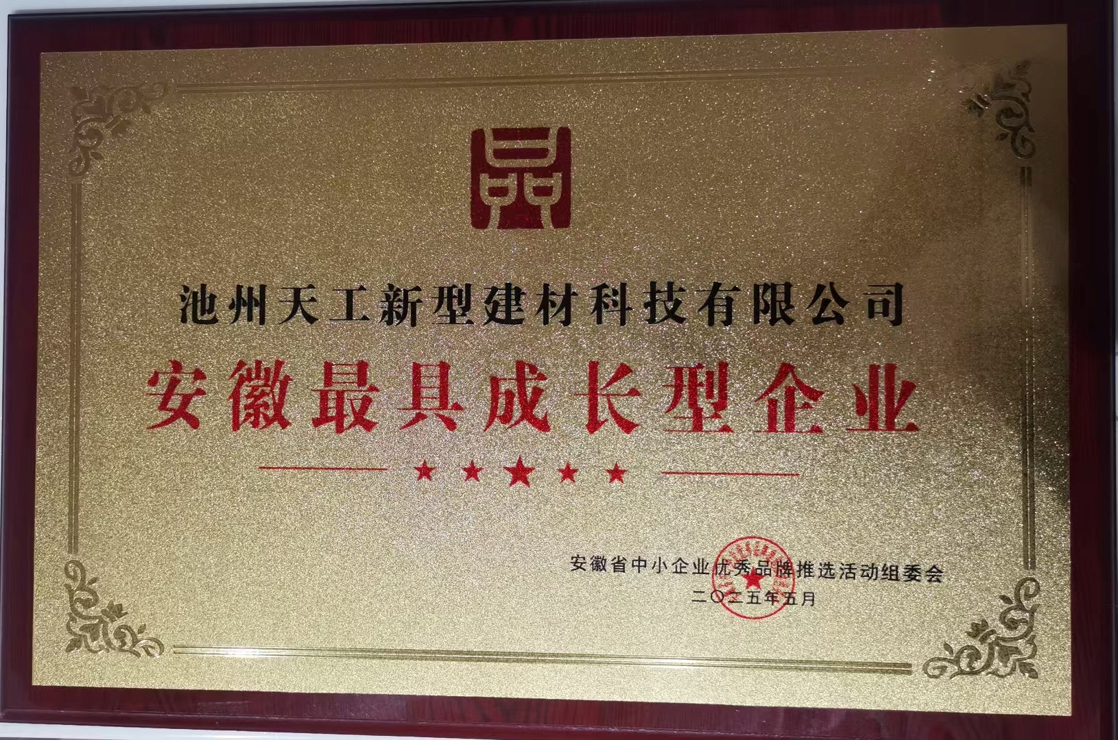 安徽最具成長型企業(yè)
